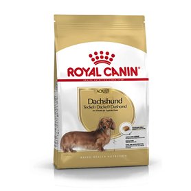 Royal Canin Dachshund Adult | 1