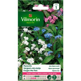 Vilmorin 5380541 Myosotis Multicolore 9 x 0.5 x 16 cm