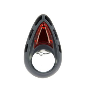Carlinea 190107 Air Nice Pêche