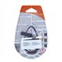 Carlinea 190107 Air Nice Pêche