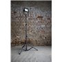 1800 lumens