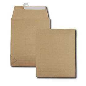 GPV - Paquet de 50 Sac à soufflet - Format (280x410x90 mm)