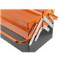 Fischer Darex - Caisse à outils métal - corps en acier rigide - Charge utile 25kg -Charnières acier- 5 compartiments
