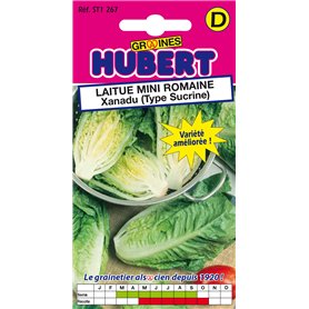 Graines de Laitue Mini Romaine Xanadu (Type Sucrine) - 0
