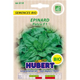 Graines BIO d'Epinard Palco F1-8 grammes