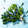 Eau Micellaire Bio Bouquet Floral Detox