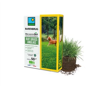 BARENBRUG - Ray-grass anglais BIO - Rapide d’Installation - Polyvalent et Appétent - Durée de Vie 4 ans et + - Production Alimen