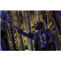 Collection Evolution The Amazing Spider-Man : Le Destin d'un héros [Blu-Ray + Copie Digitale]