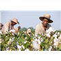 12 years a slave (Oscar® 2014 du meilleur film)