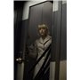 The Amazing Spider-Man [Édition Premium boîtier SteelBook]