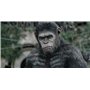 La Planète des Singes : L'Affrontement [Blu-Ray]