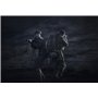 Alien : Covenant [DVD + Digital HD]