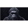 La Planète des Singes : Suprématie [Blu-Ray + Digital HD]