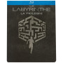 Labyrinthe : La Terre Brûlée [Édition SteelBook limitée]