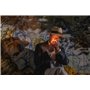 Parthenope DVD Bonus