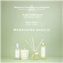 Bougie Parfumée Mandarine Basilic 180g – Cire de Soja 100% Végétale – Fabriquée en France – Mèche Coton – Senteur Agrumes & Jasm