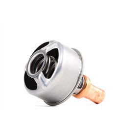 Calorstat TH4495.86 Thermostat d'eau