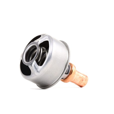Calorstat TH4495.86 Thermostat d'eau