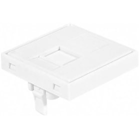Dexlan Plastron RJ45 45X45