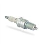 Greenstar 15669 Bougie champion n9yc (f877), Noir