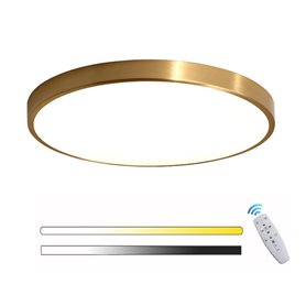 LED Plafonnier Doré Rond Panneau Intérieur Lampe De Plafond Chambre Moderne Dimmable avec Télécommande Ultra Mince Pour Couloir