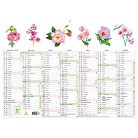 Exacompta - 34305E - Calendrier Mural - Thème Fleurs Avec Illustrations Aquarelles - 7 mois par face - Dimension 29