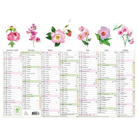 Exacompta - 34305E - Calendrier Mural - Thème Fleurs Avec Illustrations Aquarelles - 7 mois par face - Dimension 29