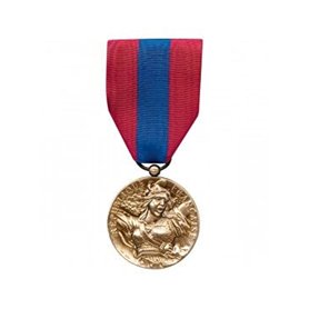 DMB PRODUCTS - 580050 - Medaille Ordonnance Defense Nationale Bronze - DEMO03DENAT