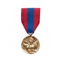 DMB PRODUCTS - 580050 - Medaille Ordonnance Defense Nationale Bronze - DEMO03DENAT