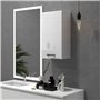 kleankin Armoire Murale de Salle de Bain, Placard de Rangement Toilette 3 Niveaux, étagère réglable, 1 Porte, Moderne, Armoire S