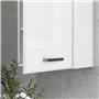 kleankin Armoire Murale de Salle de Bain, Placard de Rangement Toilette 3 Niveaux, étagère réglable, 1 Porte, Moderne, Armoire S