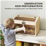 PawHut Cage à Hamster en Bois, Cage à Souris avec Couvercle ouvrable, fenêtre en Acrylique et Trous de Ventilation pour Hamsters
