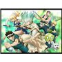 BLURAY DR. STONE - S