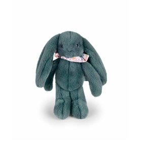 DOUDOU ET COMPAGNIE - Lapin Fleurette Eucalyptus 25 cm – Peluche Bébé Ultra Douce avec Foulard Fleuri – Doudou Naissance Mixte –