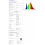 Xanlite Ampoule LED Filament P45 Culot E27 - Ampoule LED Angle D'Éclairage 280° - Ampoules LED Lumière Blanche 6,5W Équivalent 6