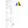 Xanlite Ampoule LED Filament P45 Culot E27 - Ampoule LED Angle D'Éclairage 280° - Ampoules LED Lumière Blanche 6,5W Équivalent 6