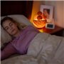 Lampe de Sel Bol avec 4 Boules Massage - Sculptée à la main -Ampoule et Câble Fournis - Décoration Relaxante-Purification d'Air 