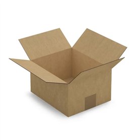 Raja 15 cartons d'emballage 23 x 19 x 12 cm - Simple cannelure