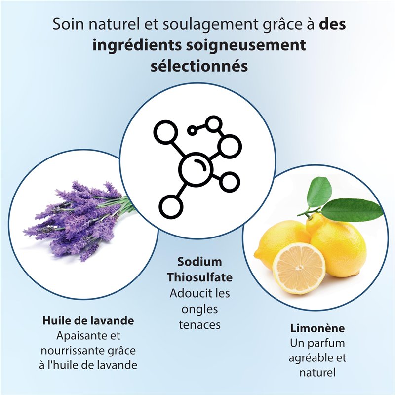 PARENCE.- Boîte de Couture avec Fils de Couleur – Kit 12 Bobines + Aiguilles | Coffret de Couture Compact et Portable | Fil à Co