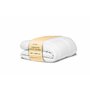Glace de Rétroviseur Extérieur Avant Droit (Dégivrante) avec Support compatible pour Master 3 Movano B et NV400 OEM 963655132R