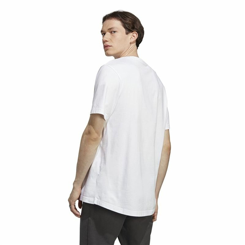 sera Glass Clear Nettoyeur Taille M 1 Unité