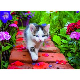 Nathan - Puzzle 500 pièces - Chaton au jardin - Adultes et enfants dès 12 ans - Puzzle de qualité supérieure - Encastrement parf