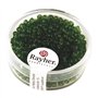Rayher 1405729 rocailles
