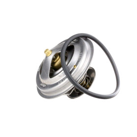 Febi bilstein 12193 Thermostat d'eau