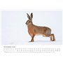 Edition Seidel Calendrier mural 2026 de qualité supérieure - Format DIN A3 - Motif animaux sauvages - Cerf - Sanglier - Canard -