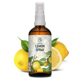 KS Tools 150.9476 - Clé spéciale pour amortisseurs - En matière Robuste et Résistante