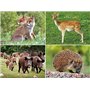 Lot de 2 sets de table en forme de animaux de la forêt