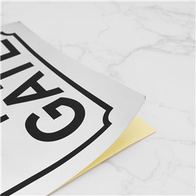 Bosch BD492 Disques de frein - certification ECE-R90-1 jeu de 2 disques