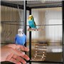 Accessoires de Cage