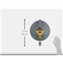 Nettoyeur de Surfaces Professionnel FR 30
